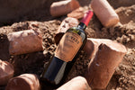 Bodega Jorge Rubio Privado Oasis Sur Cabernet Franc
