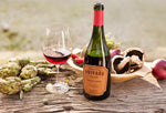 Bodega Jorge Rubio Privado Oasis Sur Pinot Noir