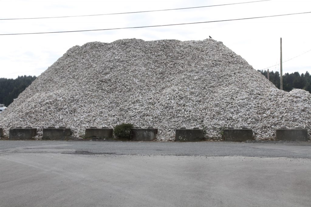 That's a pile of oyster shells