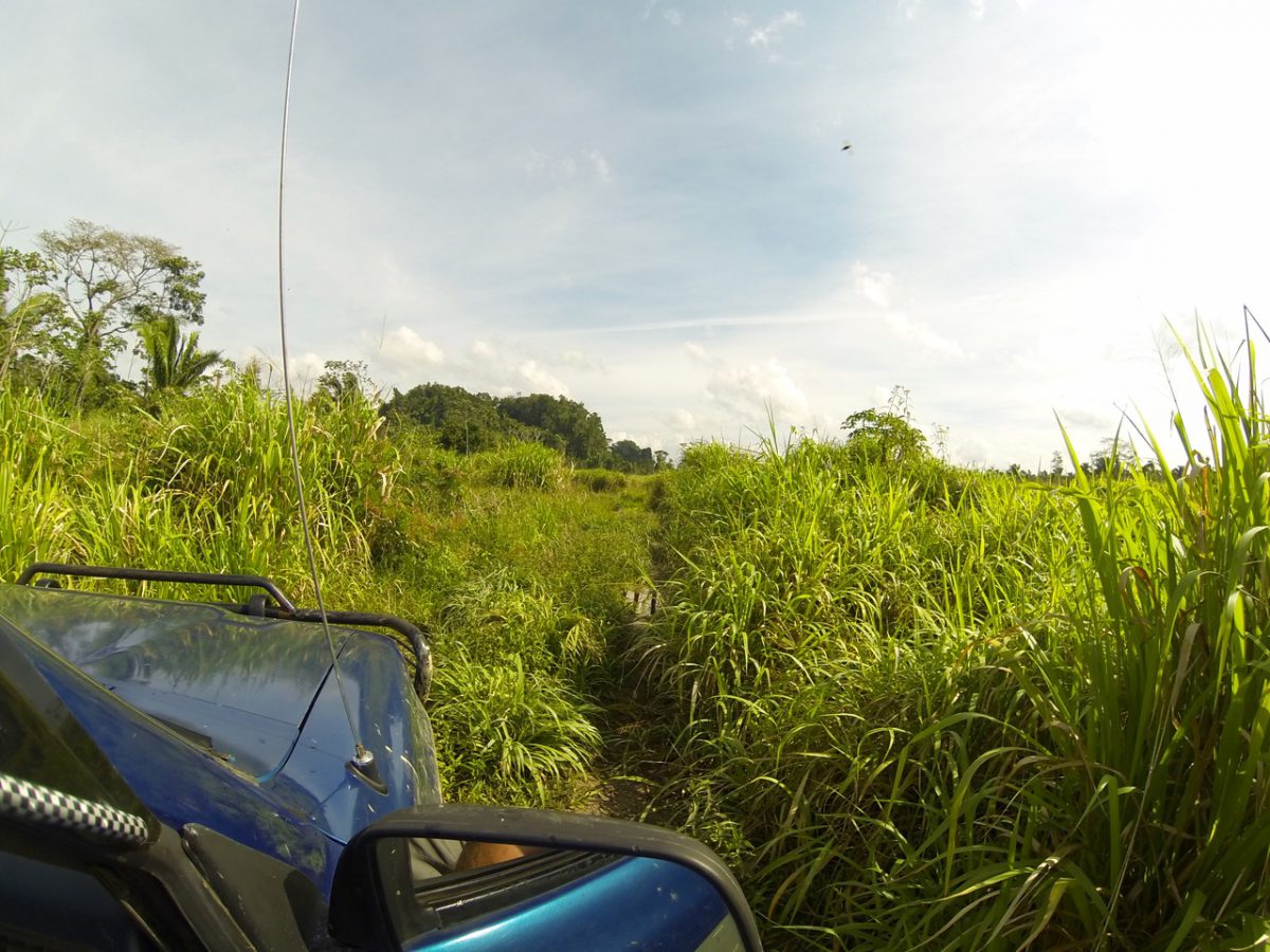 DCIM100GOPRO
